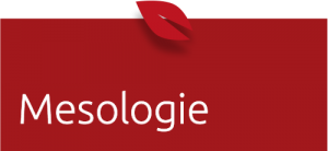 Mesologie therapie bij kinemax.nl in de binnenstad van tilburg